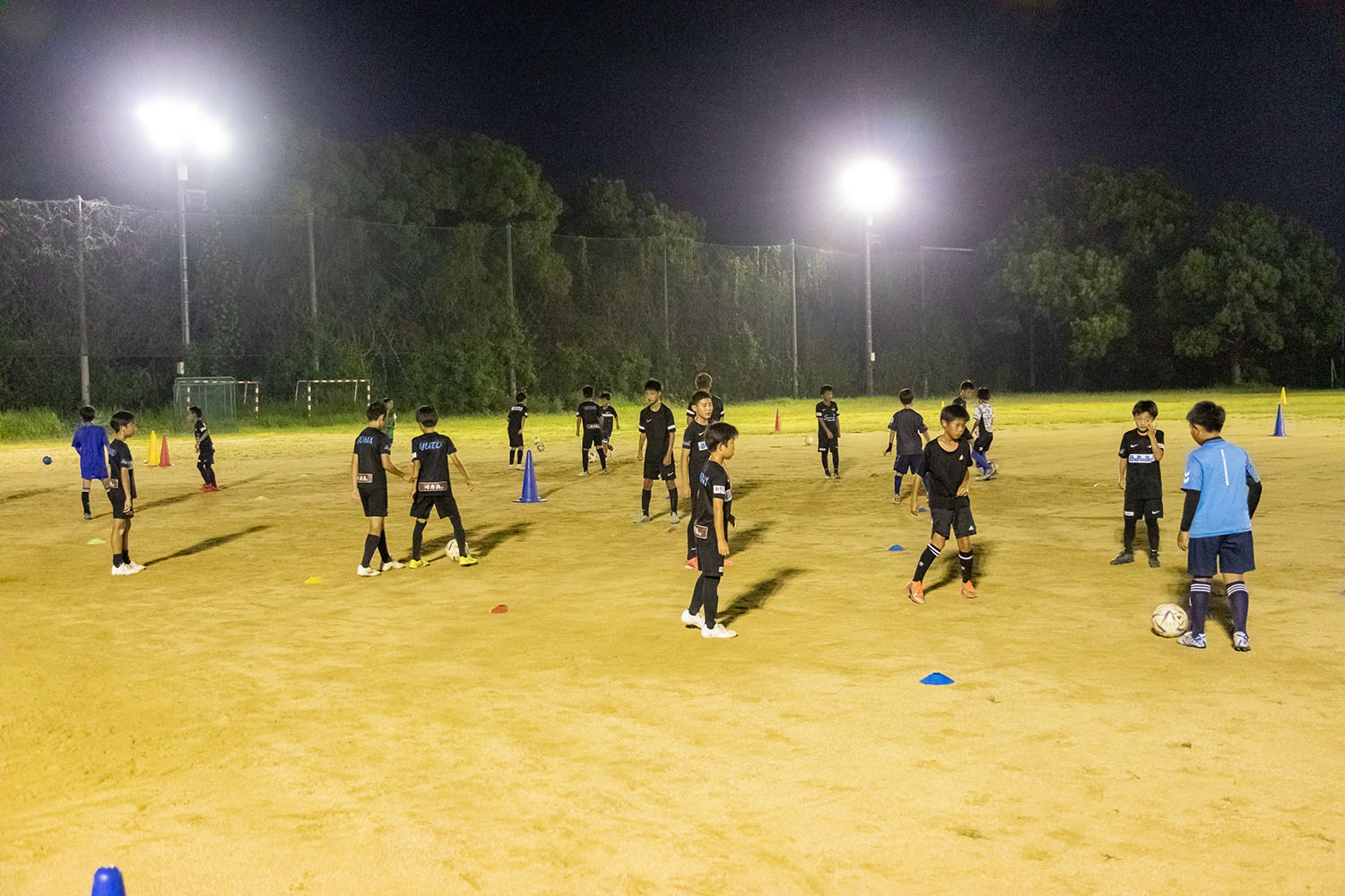 スライドショー画像3